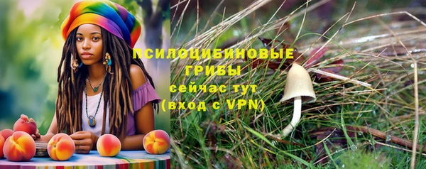 ГАЛЛЮЦИНОГЕННЫЕ ГРИБЫ Горняк