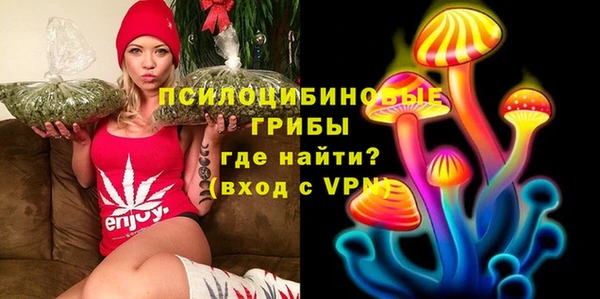 ГАЛЛЮЦИНОГЕННЫЕ ГРИБЫ Горняк