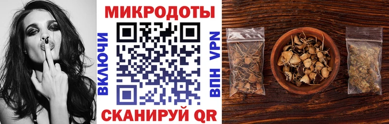 магазин продажи   Жуков  Псилоцибиновые грибы Psilocybine cubensis 